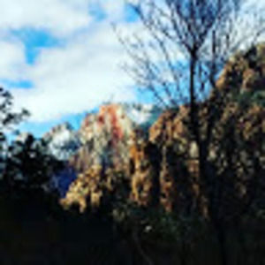 Meet your Posher, Riley